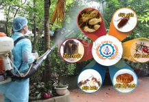 phòng chống mối và diệt côn trùng, động vật gây hại